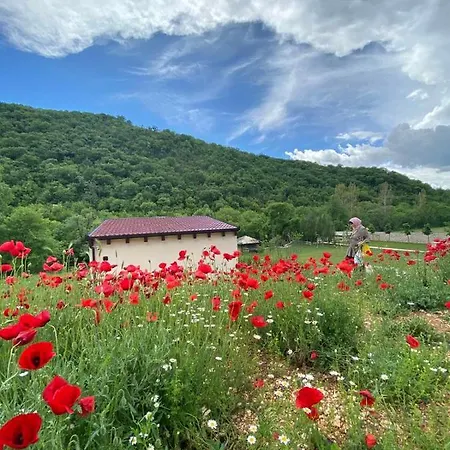 House On The River Σπίτι διακοπών *