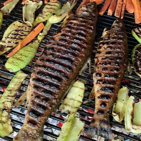 Casa de Férias House On The River