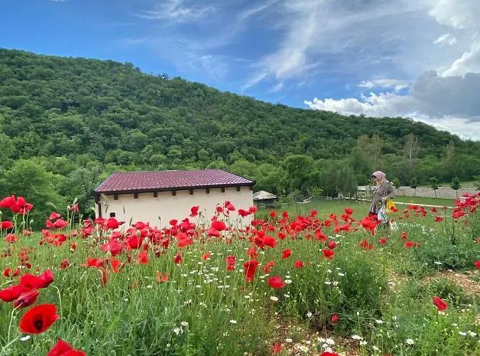 House On The River Nyaraló *